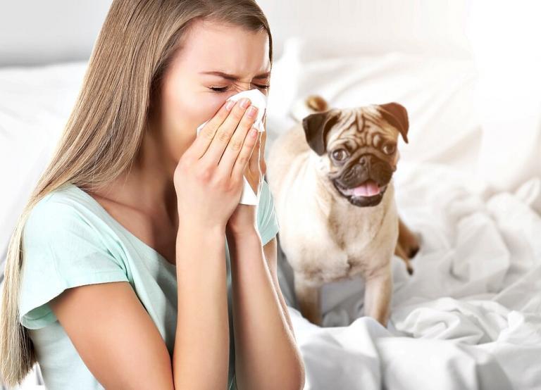 Dog Allergy Causes and Treatment Women's Alphabet