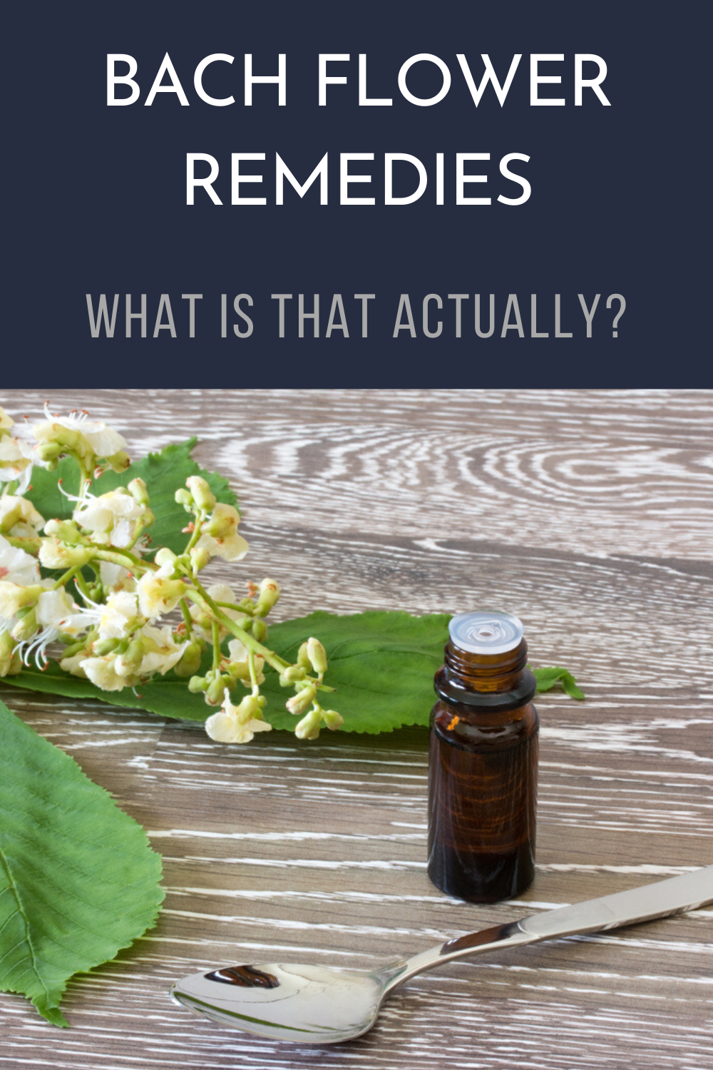 Bach Flower Remedies What is That Actually?