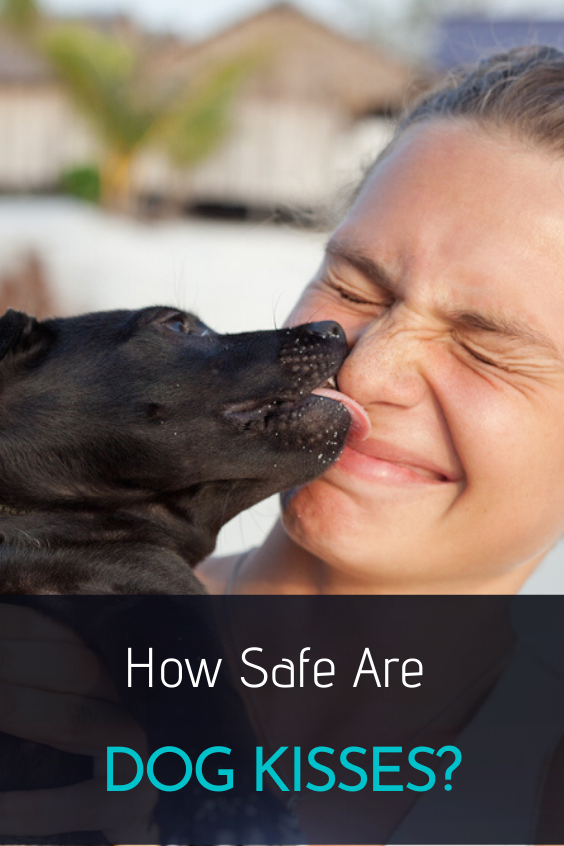 Is It Risky to Kiss Your Dog?