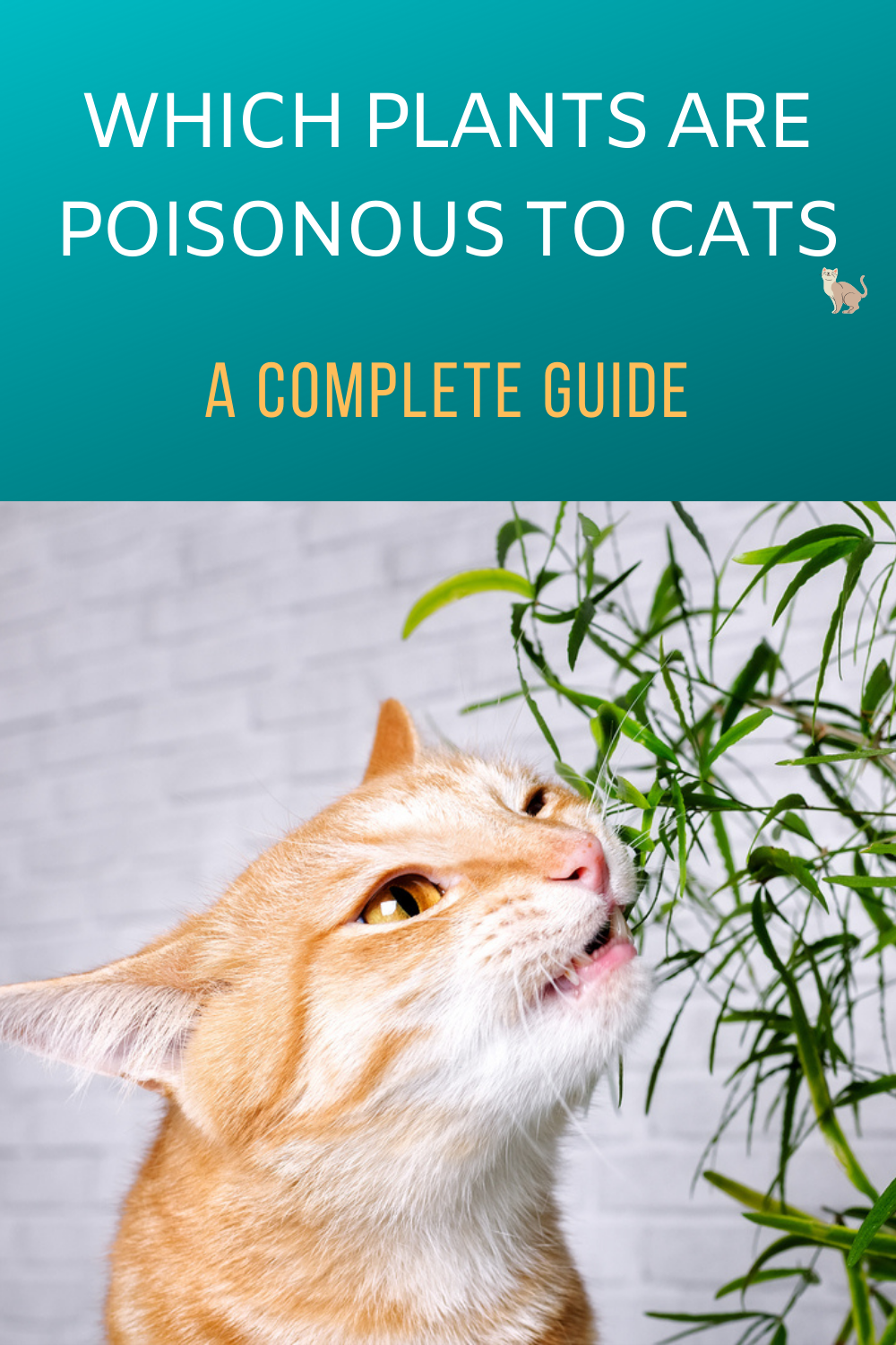 Which Plants Are Poisonous to Cats? A Complete Guide